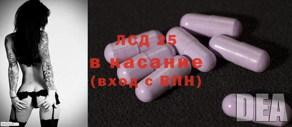 прущие грибы Армянск