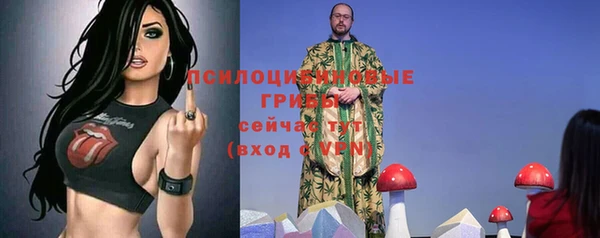 прущие грибы Армянск