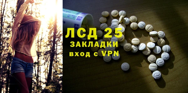 прущие грибы Армянск
