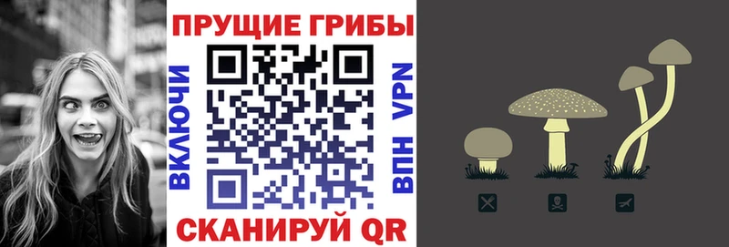 Галлюциногенные грибы Psilocybine cubensis  купить закладку  kraken сайт  Камешково 